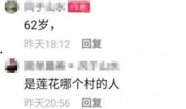 莲花县最新爆料消息,揭秘当地发展新动态与民生热点